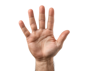 Open hand gesture palm facing forward isolated on transparency background showing stop sign detailed skin texture adult male hand realistic expressive communication warning