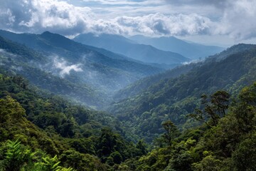 Obraz premium Honduras Mountains. Adventure in Central America Cloudy Forest - Los Quetzales Landscape with Blue Canopy and Cloudy Sky