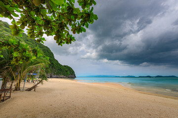 Beach with a cloudy sky and a tree in the foreground