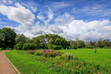 Park with a path and a tree in the middle