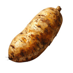 Isolated on a black background, this image showcases a detailed  shot of a sunchoke, revealing its textured skin with earthy tones of brown and beige; the composition highlights the root vegetable.