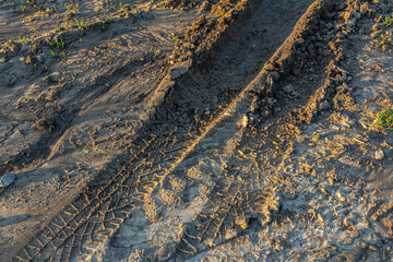 Tire tracks in the soil show signs of recent farming activity during sunset in a rural field