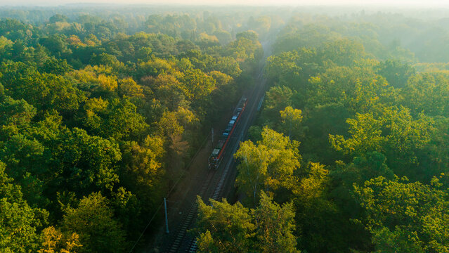 A passenger train traveling through a forest on a foggy autumn morning, symbolizing ecological and environmentally friendly public transport.