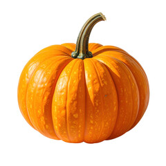 Brightly illuminated, fresh, rounded orange gourd displayed against a solid black backdrop, presenting a detailed view with textured skin and a textured, curved green stem.