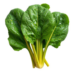Fresh, vibrant spinach leaves showcase a rich green color with water droplets, presenting a  view against a stark, black background.