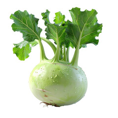 Freshly picked kohlrabi vegetable with vibrant green leaves and a rounded bulbous shape, showcasing water droplets, isolated against a stark black background highlighting the textures and natural...