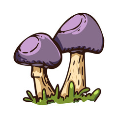 Two cartoon mushrooms with purple caps and tan stems grow in green grass