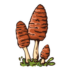 Illustration of a cluster of brown mushrooms growing in the grass