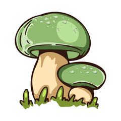 Illustration of two green mushrooms with water droplets on a white background