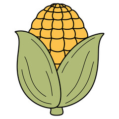 Fototapeta premium corn illustration