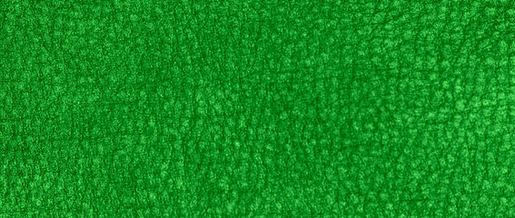 greenleather texture background