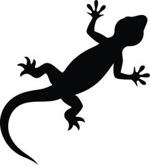 Silhouette of a reptile, a lizard on a black background, resembles a dragon tattoo vector