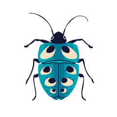Beetle with spots pattern, antennae, top view. Fiction fantastic bug, spotty wings. garden insect, small wild animal, abstract fauna species. Flat vector illustration isolated on white background