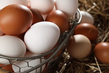 Raw chicken eggs in metal basket on straw, closeup