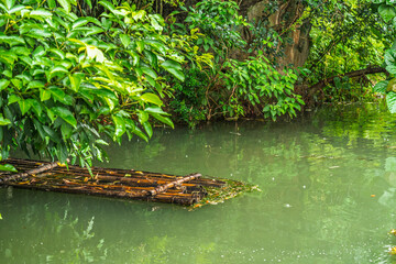 Green water bamboo raft reflects the green forest