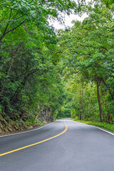 Empty winding road among green mountains and forests