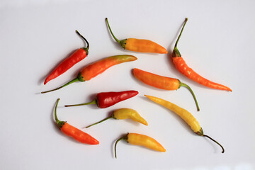 Small thin hot peppers of red, yellow, orange color with white background. Bird's-eye view.