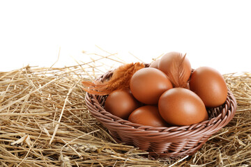 Raw chicken eggs, feathers and wicker basket on straw against white background