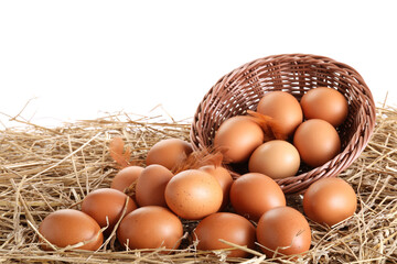 Raw chicken eggs, feathers and wicker basket on straw against white background
