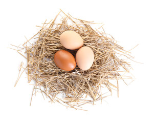 Chicken eggs in nest isolated on white, top view