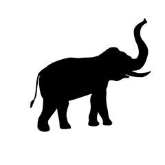 elephant silhouette