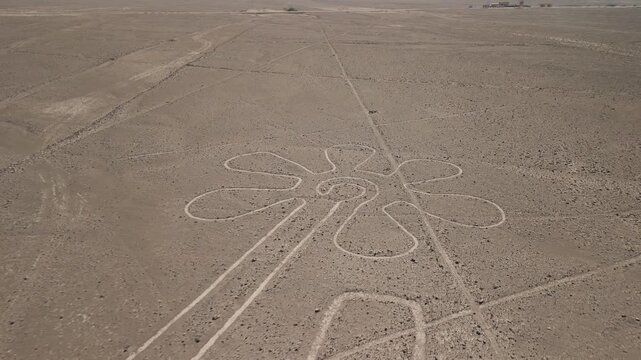 Wide aerial view of The Flower geoglyph one of the mysterious and ancient Nazca Lines etched into the desert plateau of Peru