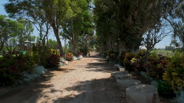 Lush walking path lined with colorful flowers and vibrant greenery at historic Tambo de Tacama vineyard in Ica Peru on a sunny day