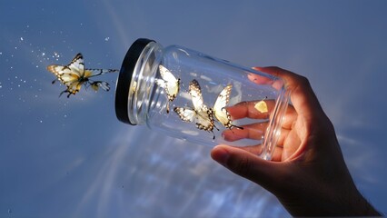 A Hand Frees Delicate Butterflies from a Glass Jar into the Golden Sunlight