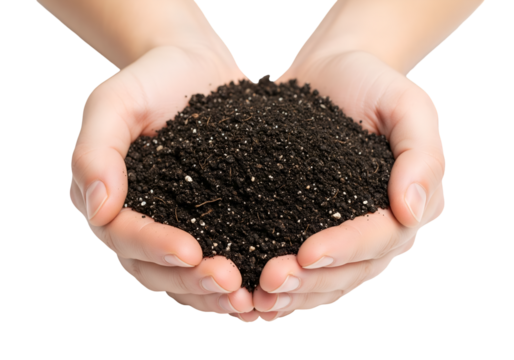 Pile of soil in hands isolated on transparent background