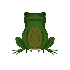 cute green frog