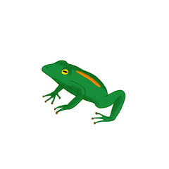 cute green frog