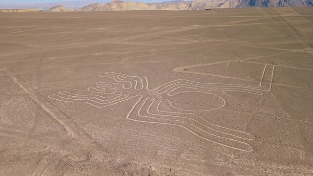 Aerial shot orbiting around the ancient Spider geoglyph one of the mysterious Nazca Lines etched into the desert floor in Peru