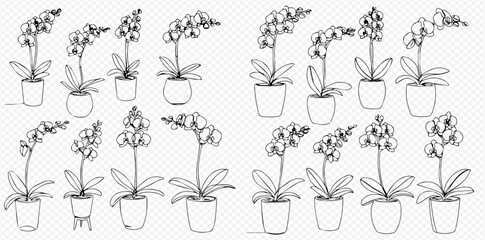 A collection of black and white line art illustrations depicting various potted orchid plants.