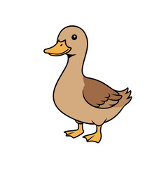 Duck Design