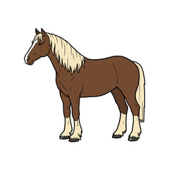 Horse Design