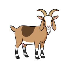 Goat Design