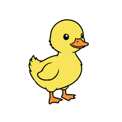 Little Duck