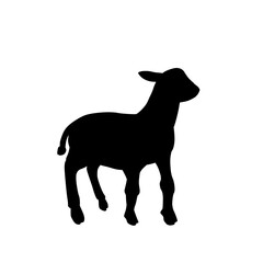 Fototapeta premium goat silhouette