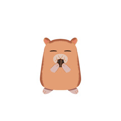 cute hamster