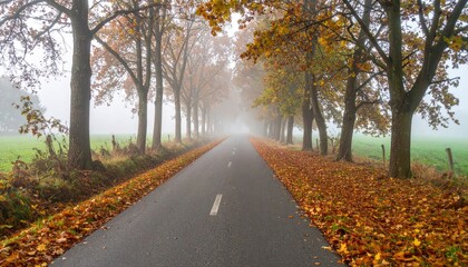 Obraz premium Road disappearing into the fog, lined with trees displaying autumn colors and fallen leaves.