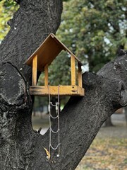 wooden bird feeder on a tree