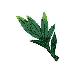 Icon of abstract green branch with leaves. Fresh sprig with leafage. Summer twig with foliage. Greenery, meadow flora, garden nature. Flat isolated hand drawn vector illustration on white background