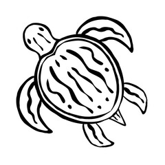 black and white turtle silhouette