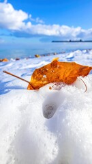 Leaf on sea foam. Close-up photo