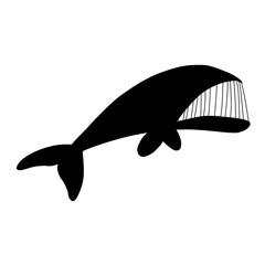 whale vector illustration