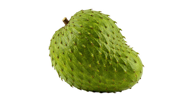Close up of a Fresh Green Soursop Fruit with Textured Skin on a Dark Background