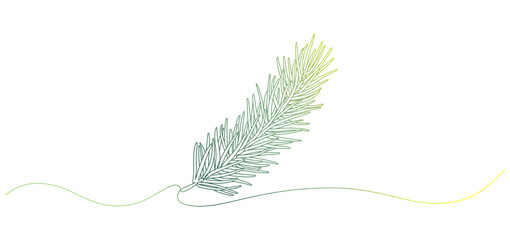 vector line illustration of pine leaves