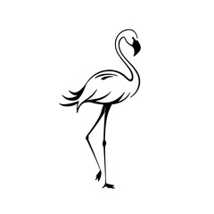 Flamingo. Flamingo simple black and white line art vector logo