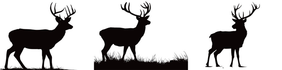 Three silhouetted deer are standing gracefully in a grassy area against a bright background. They appear peaceful and alert during the evening hours.