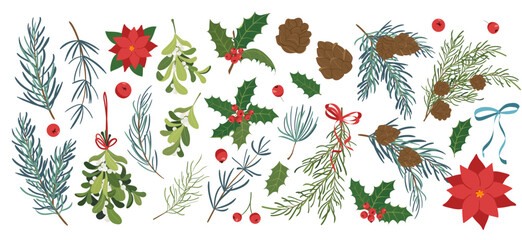 Christmas floral collection with winter decorative plants and flowers. Cute hand drawn Illustration of winter berries and Christmas tree branches.